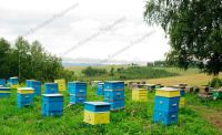 Лот: 8067636. Фото: 2. Мёд натуральный, свежий, урожай... Продукты