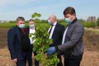 Лот: 10997179. Фото: 7. Продам красивый ровный участок...