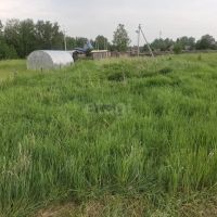 Лот: 25516621. Фото: 6. участок , СНТ Черемшанка 5-я Совхозная...