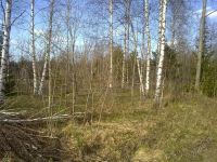 Лот: 1852428. Фото: 2. Практически даром участок на ст... Продажа
