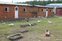 Лот: 9443382. Фото: 7. Продам производственное помещение...