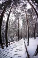 Лот: 13276761. Фото: 6. Два объектива в одном. Рыбий глаз...