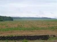 Лот: 3876981. Фото: 3. Земельные участки в Емельяновском... Недвижимость