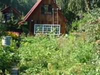 Лот: 3112723. Фото: 6. Дача на Манской горе