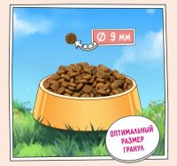 Лот: 20676277. Фото: 4. Зилли Zillii Light/Sterilized... Красноярск