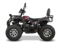 Лот: 25659140. Фото: 3. Квадроцикл GRIZZLY 200 Premium. Авто, мото, водный транспорт