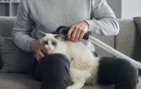 Лот: 16993733. Фото: 3. Пылесос беспроводной Xiaomi Roidmi... Бытовая техника