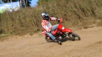 Лот: 25774753. Фото: 13. Мотоцикл IRBIS TTR 150 PITBIKE