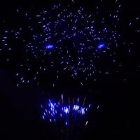 Лот: 24282646. Фото: 2. Салют на Гендер Пати (дневной... Новый год!
