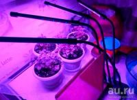 Лот: 18565537. Фото: 7. Фитолампа для растений 4 головы