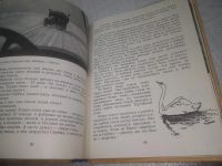 Лот: 25327999. Фото: 5. вбЮ/oz(4092339)Волк И. Вода Алагеза...