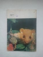 Лот: 24685752. Фото: 7. Журнал "Юный натуралист" №9, 1979...