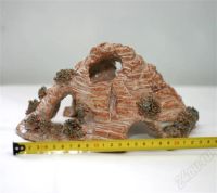 Лот: 282892. Фото: 2. Грот. Аквариумистика