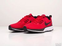 Лот: 17308914. Фото: 2. Кроссовки Nike Air Pegasus +30... Мужская обувь