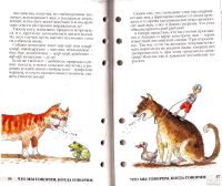 Лот: 15467798. Фото: 3. Гамазкова Инна - Что мы говорим... Литература, книги