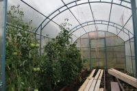 Лот: 17243676. Фото: 4. Теплица грибок из профильной трубы... Красноярск