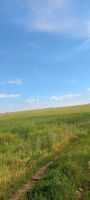 Лот: 25578904. Фото: 6. участок , посёлок городского типа...