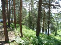 Лот: 3370518. Фото: 3. Шумиха, Продам участок 15 сот... Недвижимость