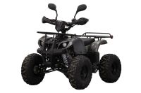 Лот: 25659191. Фото: 2. Квадроцикл UNIVERSAL ATV 125 TM... Мототехника