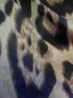 Лот: 25886682. Фото: 3. шелковый платок. Одежда, обувь, галантерея