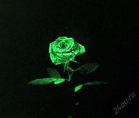 Лот: 7047284. Фото: 4. 9 светящихся роз. подарок на 8... Красноярск