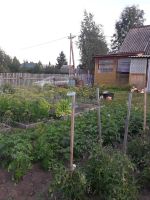 Лот: 20723591. Фото: 3. Продам дачу. Недвижимость