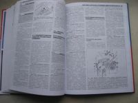 Лот: 11092060. Фото: 7. Книга FORD Galaxy 1995-2000г.в...