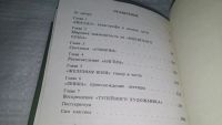 Лот: 10847004. Фото: 2. Лесковское ожерелье, Лев Аннинский... Общественные и гуманитарные науки