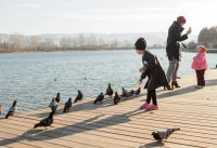 Лот: 7290304. Фото: 4. Canon EF 28-70mm f/2.8L USM+UV...