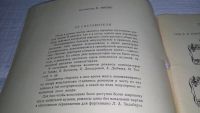 Лот: 19062786. Фото: 3. Старинные русские романсы для... Литература, книги