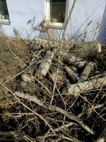 Лот: 11298613. Фото: 2. Дрова даром. Дрова, топливо
