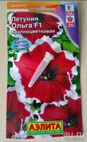 Лот: 13536341. Фото: 3. Петуния крупноцветковая, рассада... Для дачи, дома, огорода, бани, парка