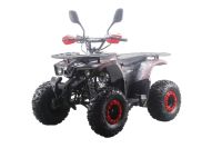 Лот: 25659221. Фото: 19. Квадроцикл MOTAX ATV Grizlik Premium...