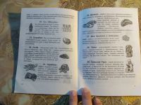 Лот: 12850933. Фото: 2. Нэцкэ коллекция. Антиквариат