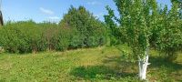 Лот: 25580032. Фото: 5. 3-комн. дача , СНТ Полянка Весенняя...