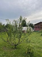 Лот: 25676447. Фото: 8. 1-комн. дача , СНТ Емельяново-1...