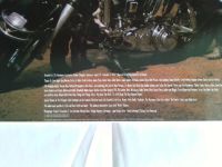 Лот: 25633266. Фото: 3. LP Delta Rebels -Down In The Dirt-... Красноярск
