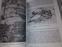 Лот: 17528527. Фото: 7. Шубин В.В., Кампучия: суд народа...