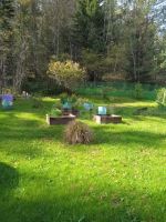 Лот: 25798124. Фото: 12. 2-комн. дача , СНТ Каскад СНТ...