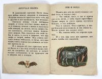 Лот: 25243656. Фото: 8. 📔 Л. Н. Толстой. Заяц и черепаха...