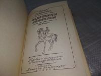 Лот: 18994397. Фото: 2. Oz. Славкович Д. Федоскины каникулы... Детям и родителям