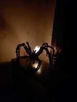 Лот: 19547873. Фото: 2. Светильник ночник паук самодельный... Освещение