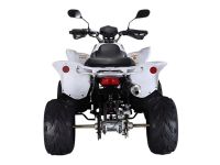 Лот: 25659147. Фото: 4. Квадроцикл RATO RТ250SТ-2. Красноярск