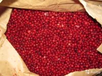 Лот: 6841774. Фото: 2. Брусника. Продукты