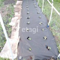 Лот: 25288923. Фото: 7. 1-комн. дача , дачный посёлок...