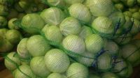 Лот: 8287837. Фото: 2. Капуста со своего огорода. Продукты