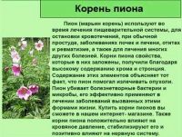 Лот: 13452774. Фото: 2. марьин корень. Семена, рассада, садовые растения