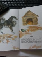 Лот: 10529867. Фото: 5. Книга "На нашем дворе" Евгений...