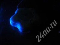 Лот: 282247. Фото: 2. USB-хаб (USB HUB) светящийся... Периферия