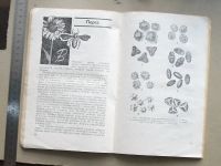 Лот: 19518972. Фото: 7. Книга Кузьмина. Лечение пчелиным...